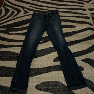 American Eagle Outfitters Dark Blue Skinny Jeans